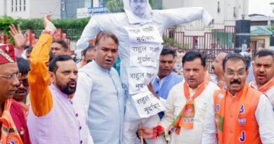 भाजपा एससी मोर्चा ने प्रदेशभर में राहुल गांधी का पुतला दहन कर किया प्रदर्शन